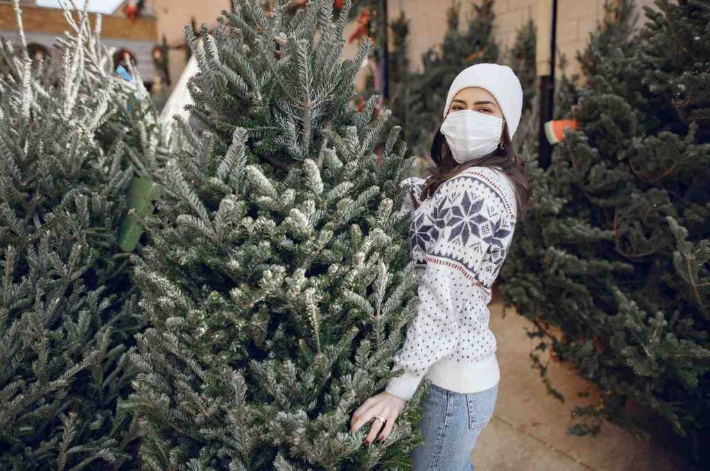 Retailers to Shop for Christmas Tree Decorations