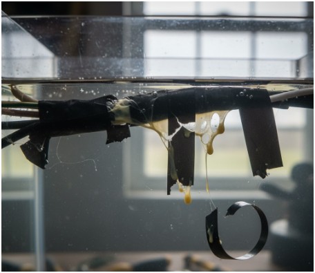 What Does It Mean When We Ask, “Is Electrical Tape Waterproof?”