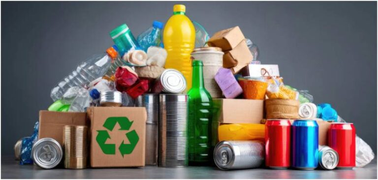 Turning Trash Into Treasure: Businesses Leading the Plastic Recycling Revolution