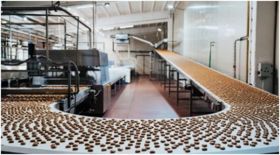 Molding and the Cooling Belt