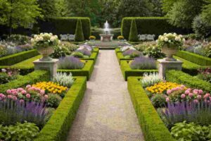 Your Garden as a Mirror: How It Reflects Your Personality