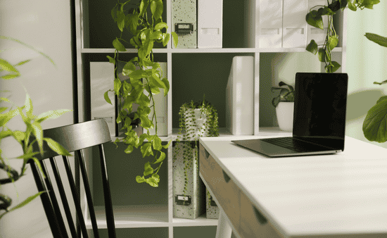 Embrace Lush Greenery and Biophilic Design