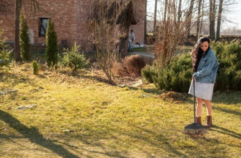 7 Ways to Reduce Yard Drainage Problems