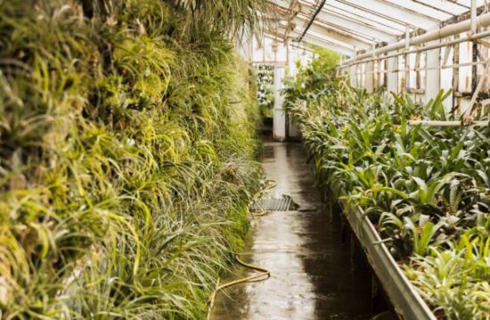 Build an Eco-Friendly Deep Rain Garden