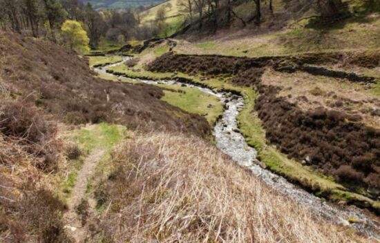 Construct an Aesthetic Dry Creek Bed or Drainage Swale